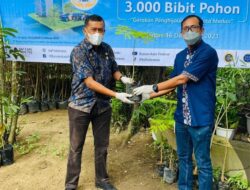 BAF Tekan 16.300 Bibit Pohon di Penghujung 2021