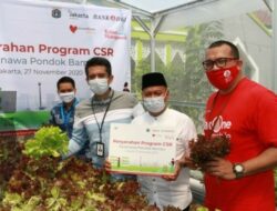 Bank DKI Dorong Penghuni Rusun Garap Hidroponik