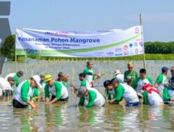BEST Tanam 12.000 Mangrove, Jaga Pesisir Demak