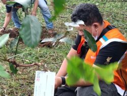 BNI Dorong Hutan Organik Lewat Pendanaan Hijau