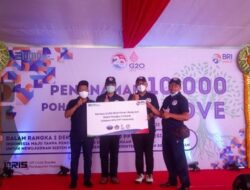 BRI-PPATK Teguhkan Bali: 10.000 Mangrove Tancap di Pantai