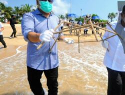 BTN Tanam 710 Karang Baru untuk Pulihkan Ekonomi Bali