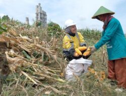 Gresik Bantu 361 Petani Garap Lahan