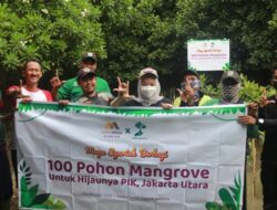 Mega Syariah Tahan Abrasi, Tanam 5.000 Mangrove