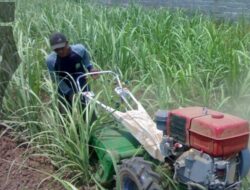 PTPP Dorong UMKM Naik Kelas